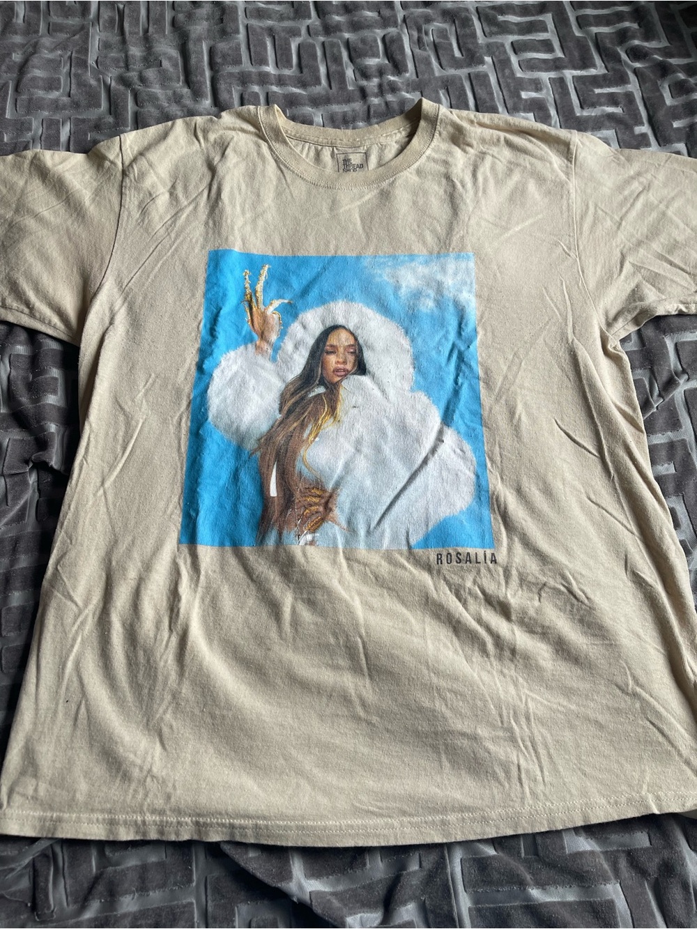 Rosalía Graphic Tee in Beige with Blue Print
